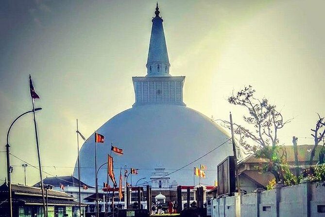 Half day tour - in Sacred city of Anuradhapura Or sacred city of Mihintale. - Why This Tour Works Well