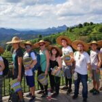 Half-day Tour: Largest Tea Plantation & Amazing Xianggong Hill - What Makes This Tour Stand Out?
