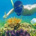 Half Day Tour Snorkeling in Nha Trang Bay Included Lunch - Who Will Love This Tour?
