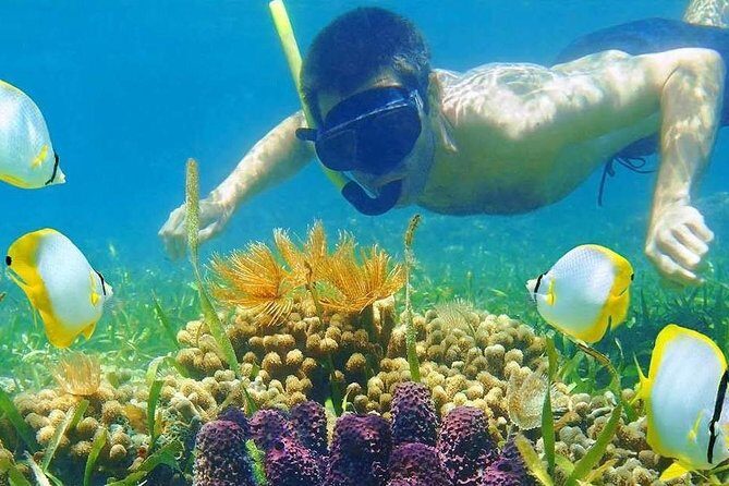 Half Day Tour Snorkeling in Nha Trang Bay Included Lunch - Who Will Love This Tour?