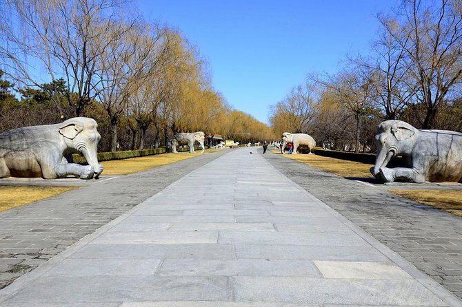 Half Day Tour to Ming Tombs Underground Palace and Sacred Path from Beijing - Practical Details and Tips