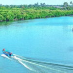 Half Day Tour to Muthurajawela, Lagoon, Dutch Canal and Mangroves - The Itinerary in Detail
