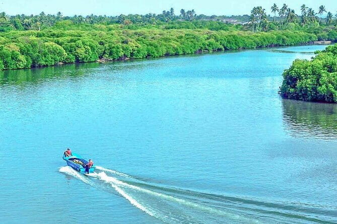 Half Day Tour to Muthurajawela, Lagoon, Dutch Canal and Mangroves - The Itinerary in Detail