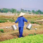 Half -Day Tra Que Herbal Village Tour from Hoi An - FAQs