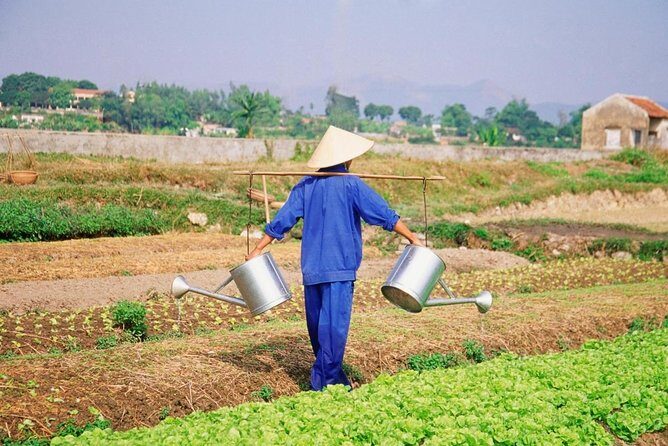 Half -Day Tra Que Herbal Village Tour from Hoi An - FAQs