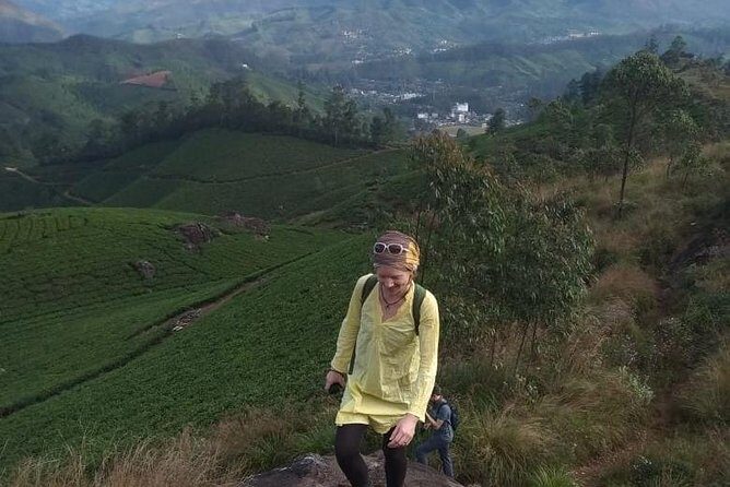 Half day trekking (munnar valley Trekking & Tours ) - Food, Snacks, and Refreshments