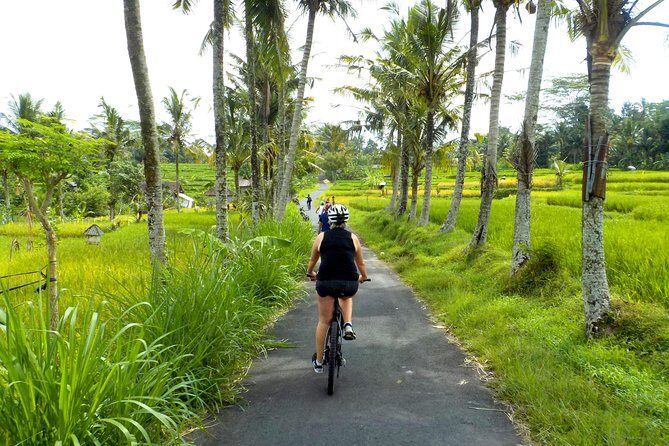 Half-Day Ubud Electric Cycling Tour to Tirta Empul Water Temple - Authentic Experiences and Unexpected Highlights