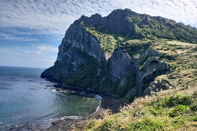 Half or Day Tour For Cruise customers arriving at Jeju City Port - Who This Tour Is Perfect For