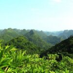 Halfday trekking Cat Ba Butterfly valley (more intense) - The Trek Begins: Navigating Rugged Rainforests