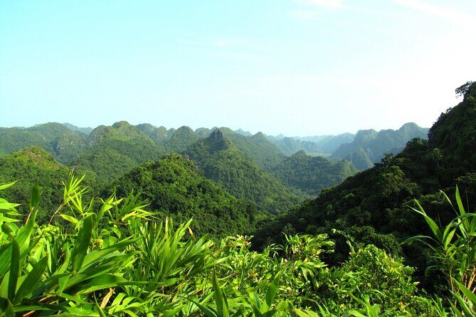Halfday trekking Cat Ba Butterfly valley (more intense) - The Trek Begins: Navigating Rugged Rainforests