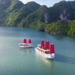 Halong Amazing Sail Luxury 1 Day Small Group Tour 7-Hour Cruising - Who Would Love This Tour?