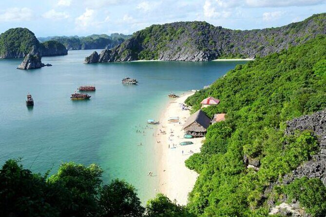 Halong Bay 2 Days-1 Night with 5 Star Cruise - Why This Tour Offers Great Value
