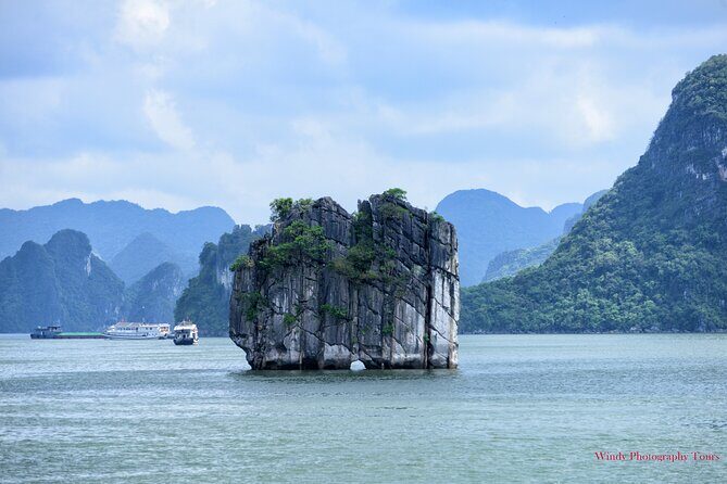 Halong Bay 6 Hours Cruise with Buffet, Sung Sot, Luon Cave, Titop - The Cave Highlights: Sung Sot and Hon Ga Choi