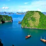 Halong Bay Day Tour With Titop Island, Cave, Kayak & Lunch - An In-Depth Look at the Tour Experience
