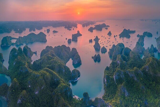 Halong Bay Day Trip 6hour: Buffet Lunch,Limousine bus,small group - Authentic Experiences & Insights from Reviews