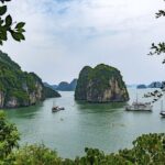 Halong Bay Discovery Cruise Luxury 1 Day - Who Should Book This Tour