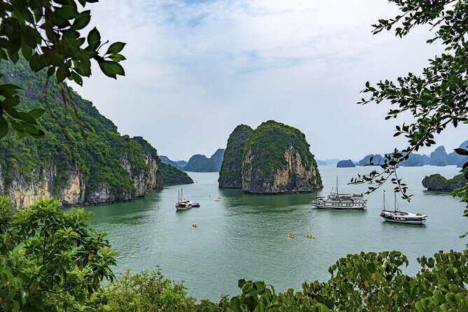 Halong Bay Discovery Cruise Luxury 1 Day - Who Should Book This Tour