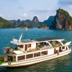 Halong Bay luxury day tour to Sung Sot Cave - Who Will Love This Tour?