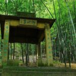 Hangzhou Jiuxi and Hupao Spring Hiking Day Trip from Shanghai by Bullet Train - Assessing the Cost and Overall Value