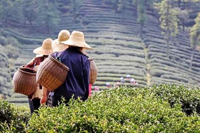 Hangzhou Private Flexible Day Tour with West Lake Boat Cruise - What Reviewers Love About This Tour