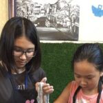 Hanoi Cooking Class and Market Tour in Ancient House - The Experience Breakdown