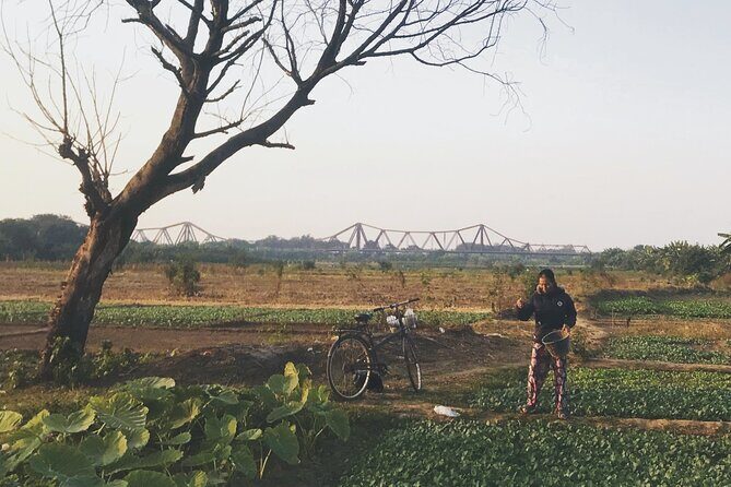 Hanoi Countryside in Banana Island - Top Tours & Activities - Practical Aspects and What You Should Know