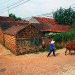 Hanoi: Duong Lam Historical Village Private Day Tour - The Practicalities and Value