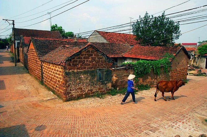 Hanoi: Duong Lam Historical Village Private Day Tour - The Practicalities and Value