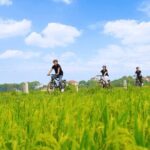 Hanoi Full Day A Private Tour With Mix of History and Activities - The Itinerary in Detail: A Day in Hanoi