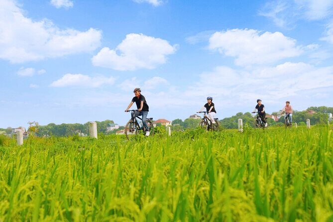 Hanoi Full Day A Private Tour With Mix of History and Activities - The Itinerary in Detail: A Day in Hanoi