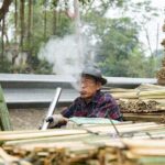 Hanoi Traditional Craft & Ancient Beauty (Day Trip) - A Deep Dive into the Itinerary: What to Expect