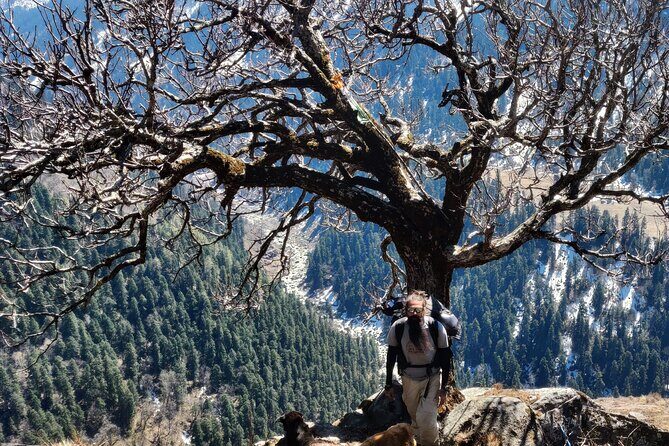 Har Ki dun Trek by Himalaya Shelter - Who Should Consider This Trek?