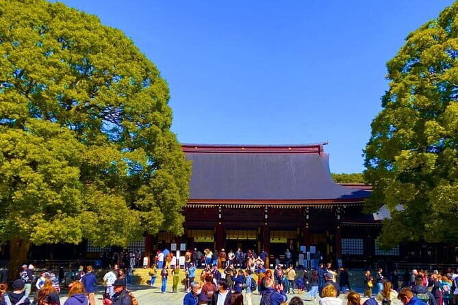 Harajuku Highlights: Where Tradition Meets Tokyo Pop - Who Would Love This Tour?