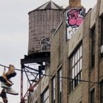 Harlem Bronx Brooklyn Queens Tour in 7 Hours - Authentic Insights from Reviews