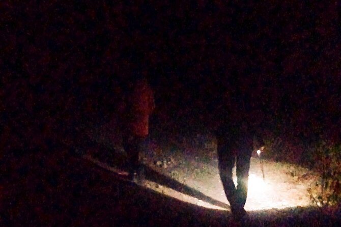 Haunted walk - An In-Depth Look at the Haunted Walk Experience