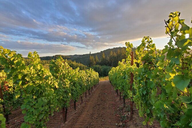Heart of Willamette Winery Pass : Wine Tastings and Discounts - Who Is This Tour Best For?