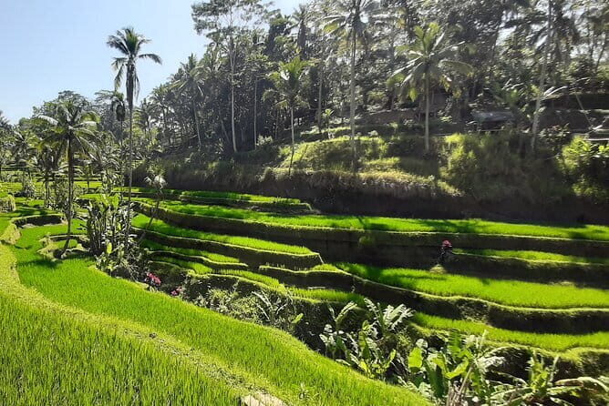 Heaven Gate, Tirtagangga and Tukad Cepung Waterfall - All Inclusive - What’s Included & What to Consider