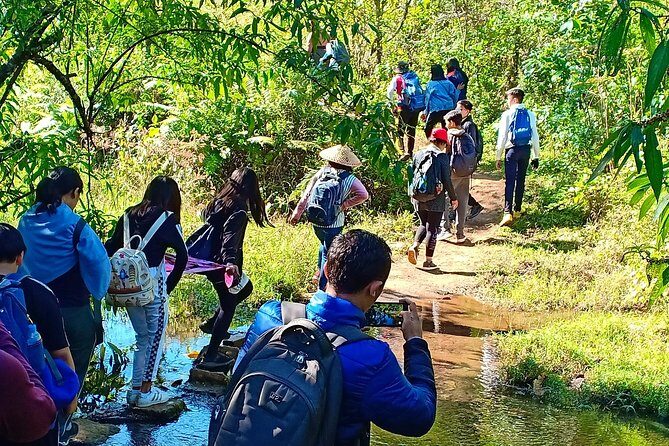Hello, who like to make fantastic trek with the most experienced guide in Kalaw. - Logistics: Practicalities and Value