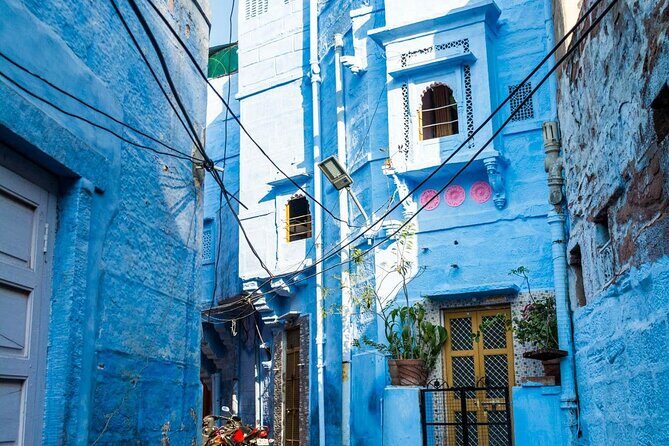 Heritage walk blue city - The Experience: What Reviewers and Our Insights Say