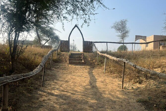 Heritage Walking Tour in Jaipur - The Cultural and Architectural Highlights