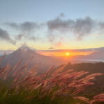 Hidden Bali Adventures - What’s the Value?