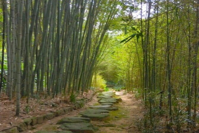 Hidden Bamboo gem and Japanese foods in Izakaya Private Tour - Dinner at a Popular Izakaya