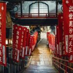 Hidden Gems of Osaka Kyoto Nara - Private Car Tour by Local Guide - The Practicalities: What to Expect