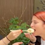 Hidden Street Food food tour in Seoul - An In-Depth Look at the Hidden Street Food Tour