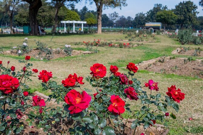 Highlights of the Chandigarh (Guided Half Day City Tour) - What’s Included and What’s Not