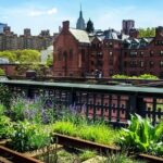 Highline and Chelsea Markets Tour - What to Expect From Your Experience