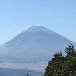 Hike Hakone Hachiri - Who Is This Tour Best For?