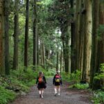 Hike Japan Heritage Hakone Hachiri (Half Day) - What Travelers Say About This Tour