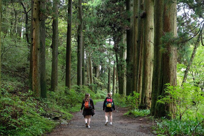 Hike Japan Heritage Hakone Hachiri (Half Day) - What Travelers Say About This Tour