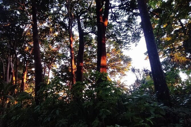 Hike to Elephant beach exploring tropical flora and fauna - Practical Details: What You Need to Know